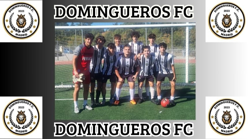 INVICTOS. POZUELO DOMINGOS MAÑANA 3ª DIVISIÓN